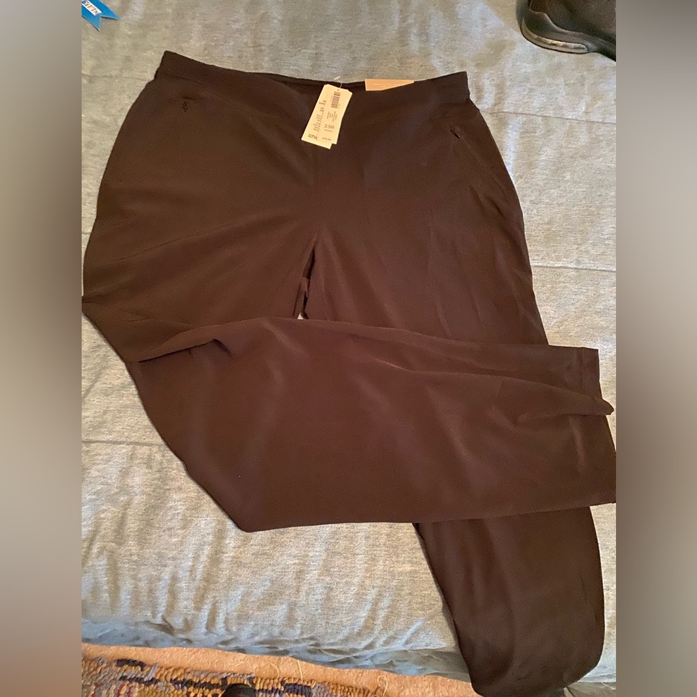 Chico’s Zenergy UPF Fabric Pants!